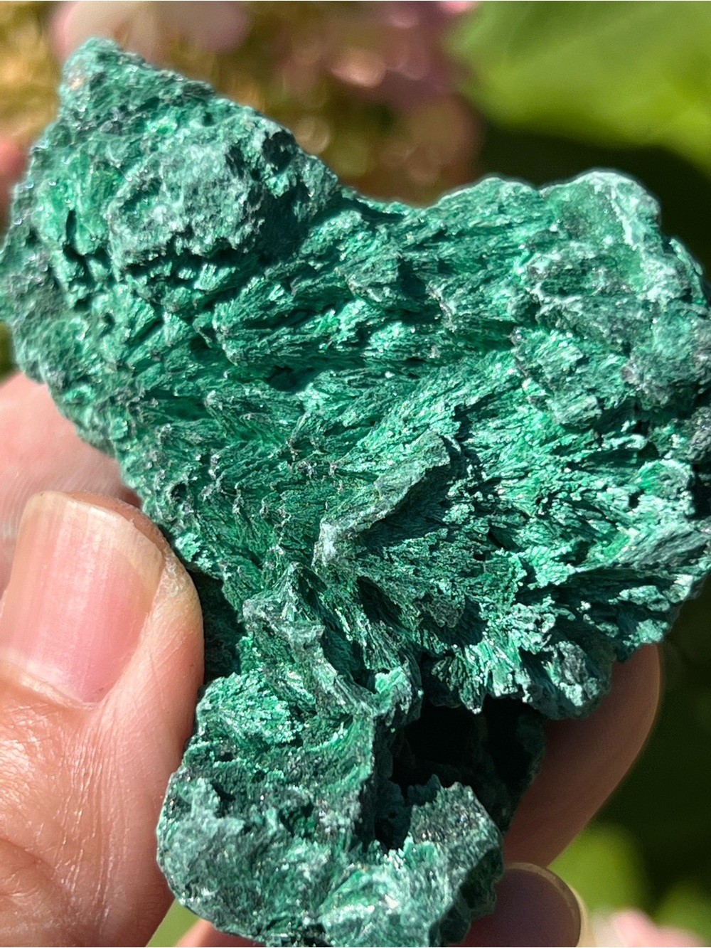 Malachite (12) specimen with stand | crystal